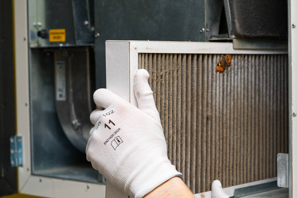Best Affordable Air Duct Cleaning  in Wayland, IA
