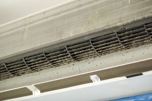 Best Air Duct Cleaning Near Me  in Wayland, IA