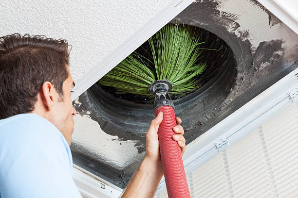 Best Emergency Air Duct Cleaning  in Wayland, IA