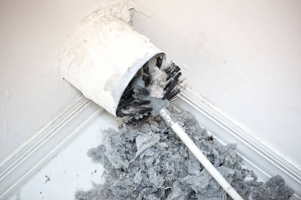 Best Ductwork Cleaning Services  in Wayland, IA