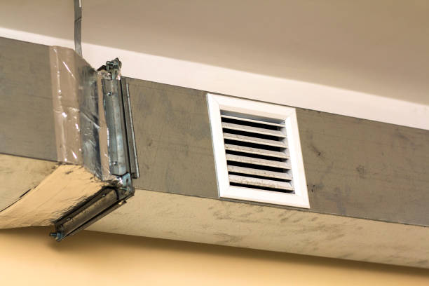 Best Ductwork Cleaning Services  in Wayland, IA