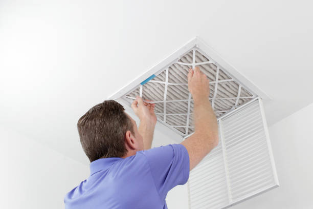 Best Residential Air Duct Cleaning  in Wayland, IA